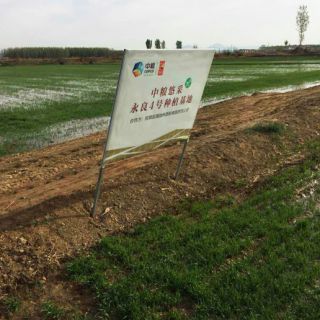 AG旗舰厅基地展示